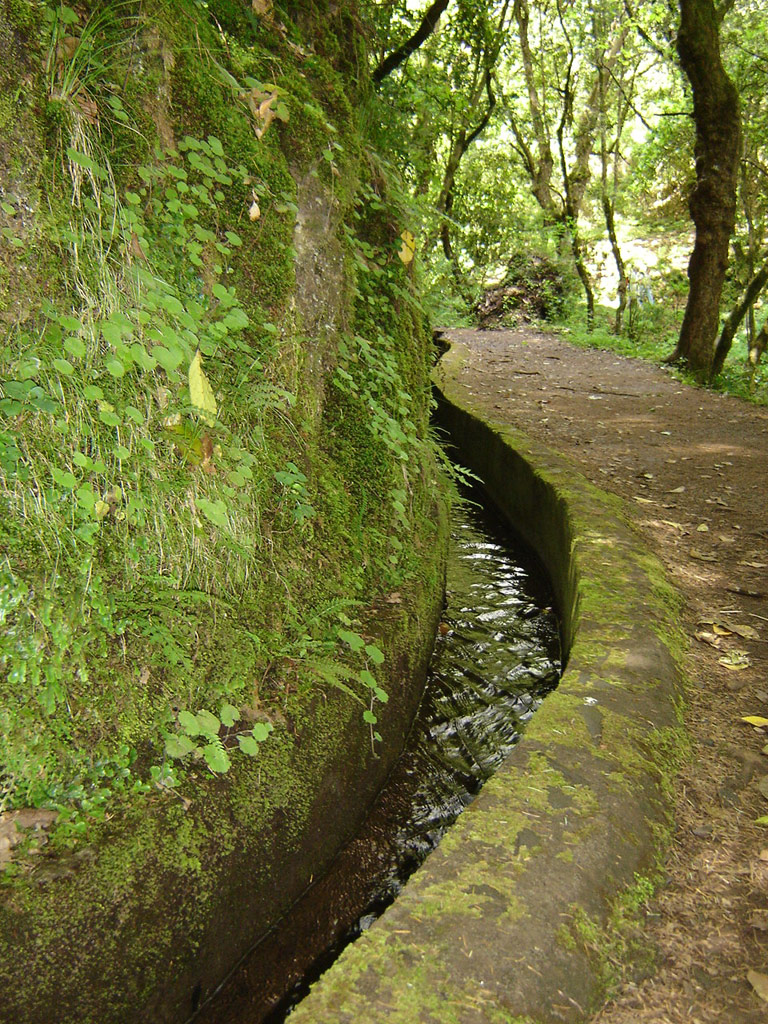 GestPIsabel freitas red