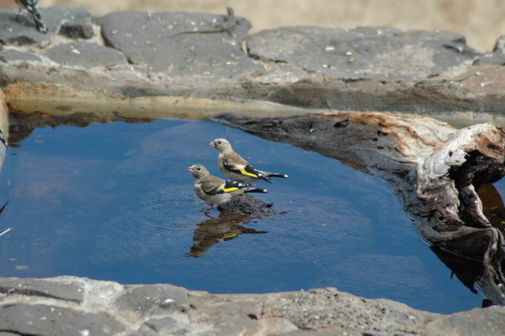ImgJoaoPaulo 032 2 red