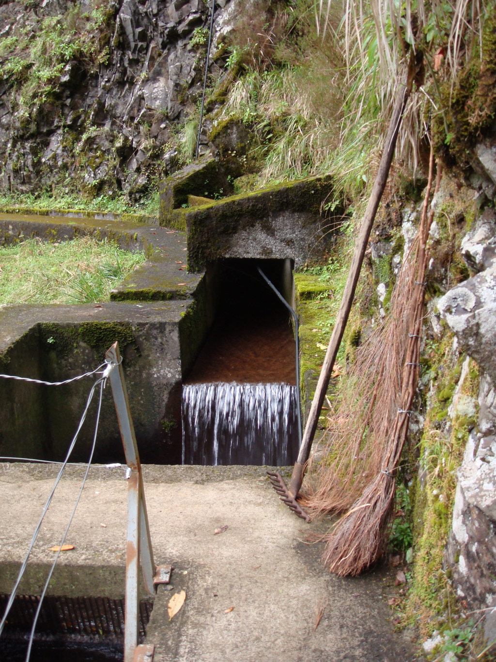 VcultlevadaSaraFreitas red