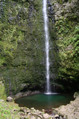 laurissilva 4 1297373905