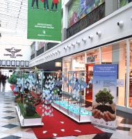 Dia Mundial da Árvore e da Floresta