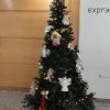 Exposição Um Anjo de Natal