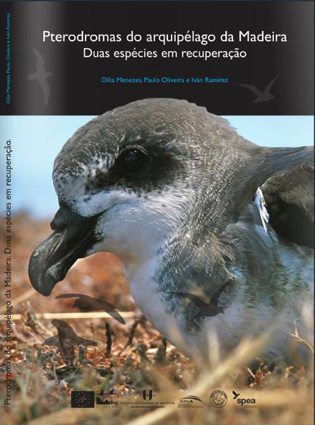 pterodromasarqmadeira