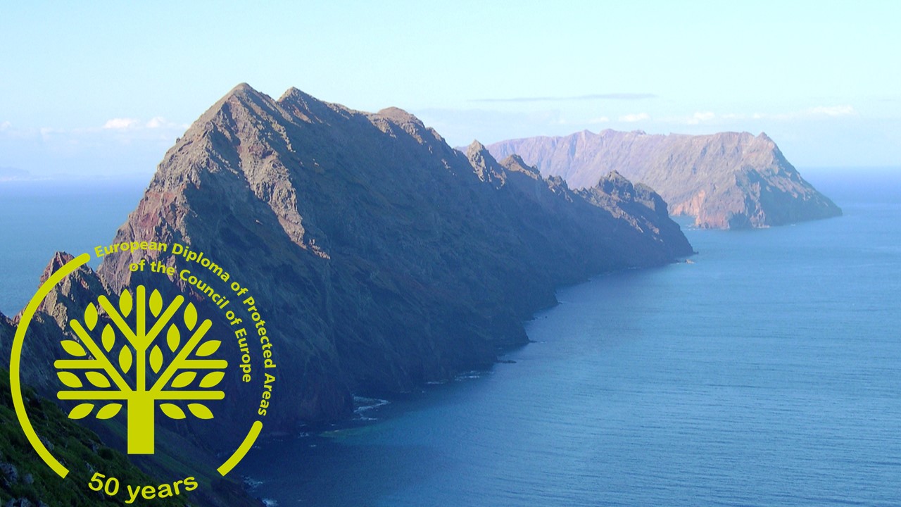 logoeimgdiplomaeuropeu