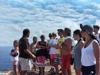 Divulgação do projeto