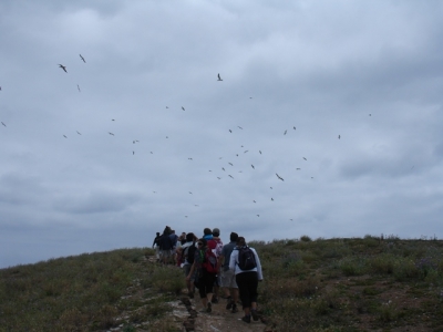 Educação ambiental no ilhéu de Cima