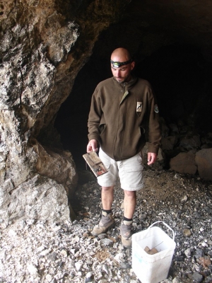 Erradicação de murganhos