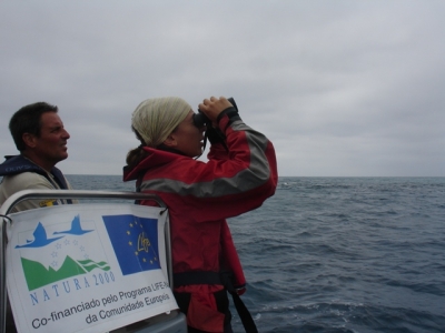 Prospeção de aves marinhas