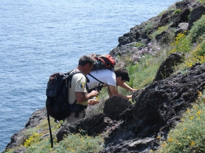 Life Ilhéus do Porto Santo