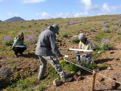 Life Ilhéus do Porto Santo