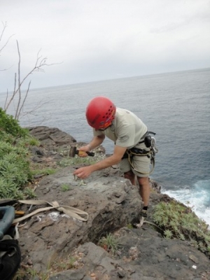 Life Ilhéus do Porto Santo
