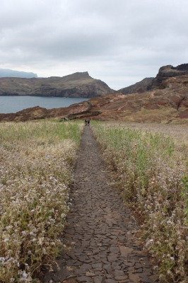 Ponta de São Lourenço