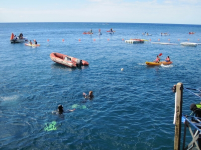 Underwater Nature Festival