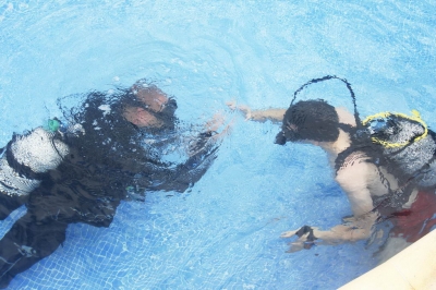 Underwater Nature Festival