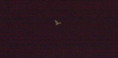 Underwater Nature Festival