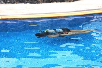 Underwater Nature Festival