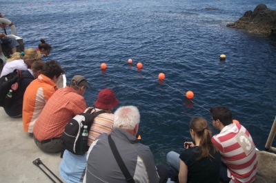 Underwater Nature Festival