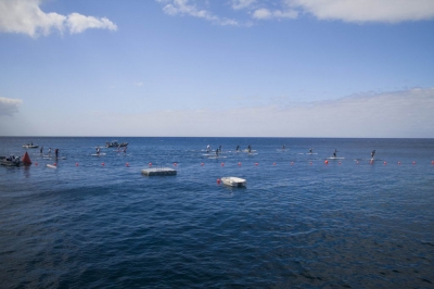 Underwater Nature Festival