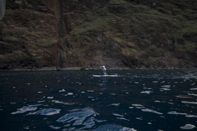 Underwater Nature Festival