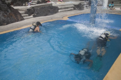 Underwater Nature Festival