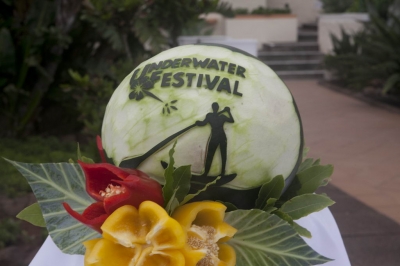 Underwater Nature Festival