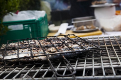 Underwater Nature Festival