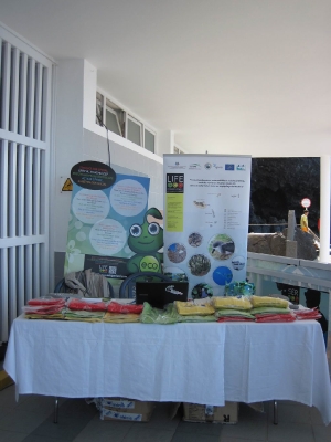 Underwater Nature Festival