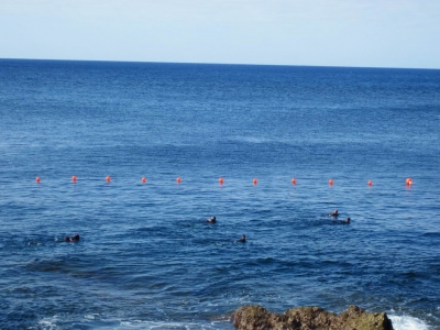 Underwater Nature Festival