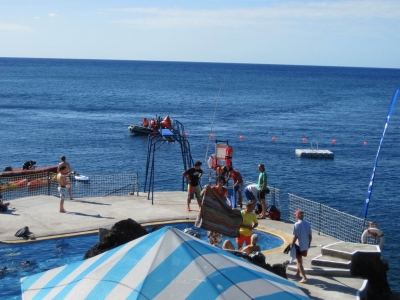 Underwater Nature Festival