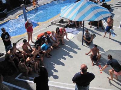 Underwater Nature Festival