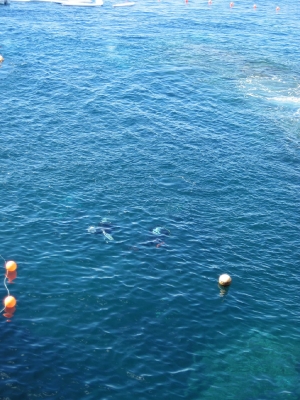 Underwater Nature Festival