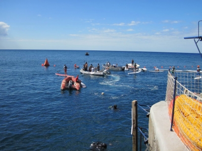 Underwater Nature Festival