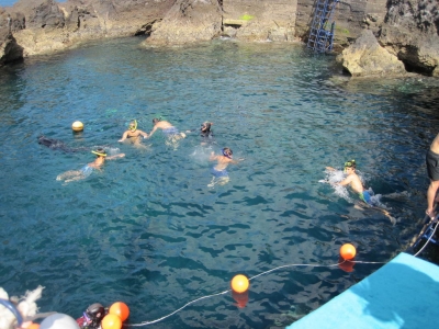 Underwater Nature Festival