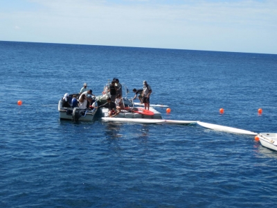 Underwater Nature Festival