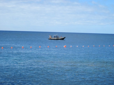 Underwater Nature Festival