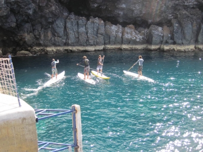 Underwater Nature Festival