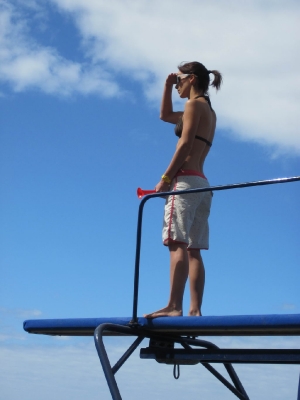 Underwater Nature Festival