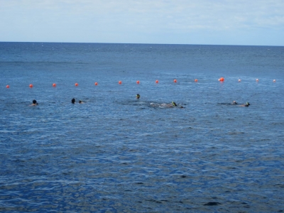 Underwater Nature Festival