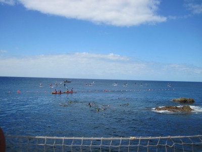 Underwater Nature Festival