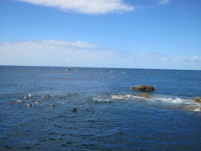 Underwater Nature Festival