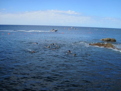 Underwater Nature Festival