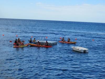 Underwater Nature Festival