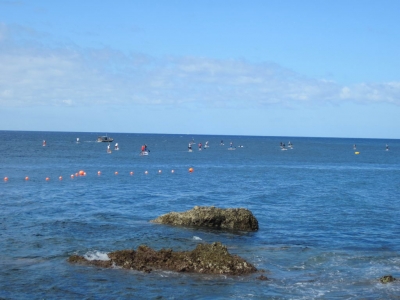 Underwater Nature Festival