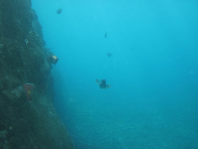 Underwater Nature Festival