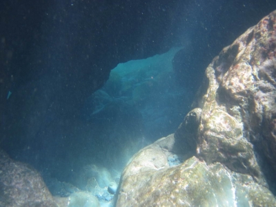 Underwater Nature Festival