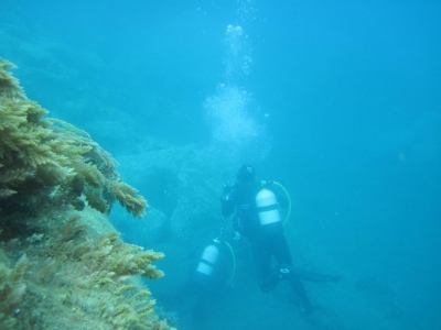 Underwater Nature Festival