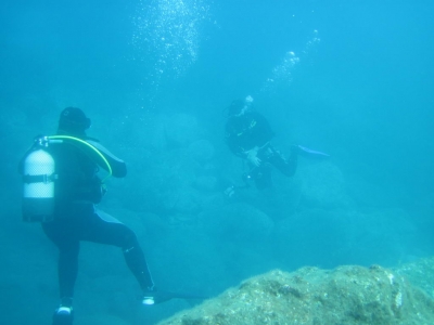 Underwater Nature Festival