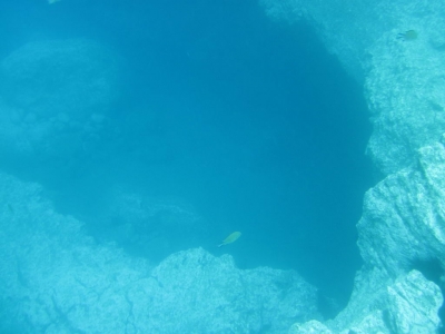 Underwater Nature Festival