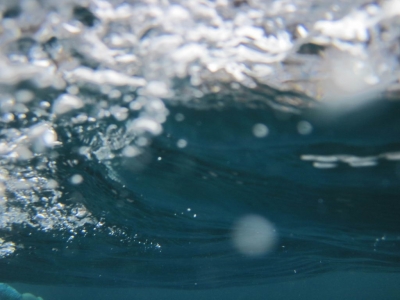 Underwater Nature Festival