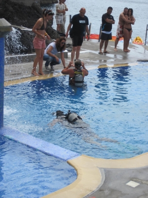 Underwater Nature Festival